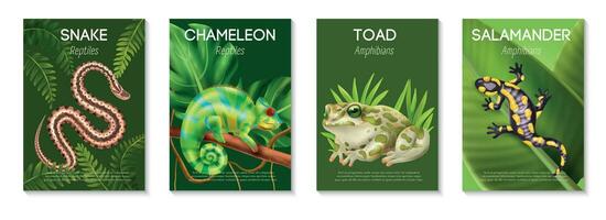 realistisch reptielen amfibieën poster icoon reeks vector