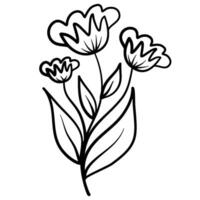 hand- getrokken bloem lijn kunst illustratie vector