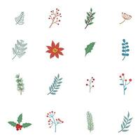 winter planten en bloemen. winter elementen met blad, Spar, pijnboom takken, BES. vector