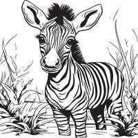 baby zebra kleur bladzijde voor kinderen vector