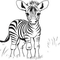 baby zebra kleur bladzijde voor kinderen vector