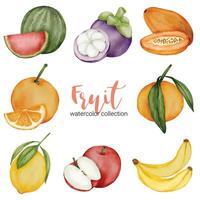 mix fruit in aquarel collectie platte vector op witte achtergrond