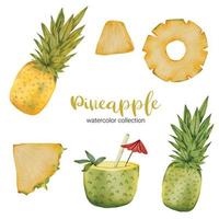 ananas in fruit aquarel collectie platte vector