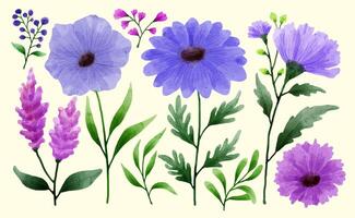 een set bloemen geschilderd in aquarel voor verschillende kaarten en wenskaarten. vector