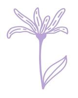paarse bloem minimalistische vectorillustratie vector