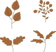 biologisch herfst blad icoon. vector illustratie