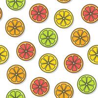 citrus fruit naadloos patroon Aan een wit achtergrond. vers oranje, pompelmoes, citroen, limoen icoon vector illustratie