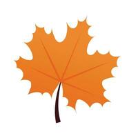 vector kleurrijk herfst esdoorn- blad geïsoleerd Aan wit achtergrond