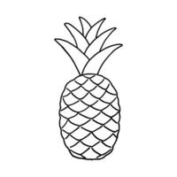 fruit tekening ananas. vers, gezond, tropisch voedsel. hand- getrokken illustratie. vector