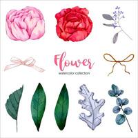 aquarel bloemen set vector