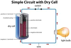 Diagram dat een eenvoudig circuit met een droge cel weergeeft vector