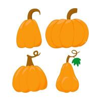 pompoen vlak icoon. teken uitrusting van halloween. dankzegging pictogram verzameling boerderij oogst, detailopname squash, groente. gemakkelijk pompoen tekenfilm kleurrijk icoon symbool geïsoleerd wit vector illustratie