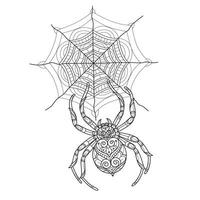spin en web hand- getrokken voor volwassen kleur boek vector
