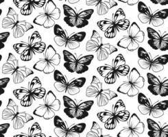 vlinder naadloos patroon. decoratief vlieg insect achtergrond. zwart en wit botanisch structuur vector