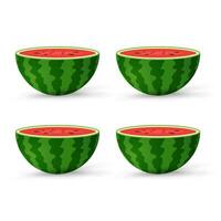 4 stukken van vers watermeloen biologisch fruit met vers groen Open watermeloen voor de helft bezuinigingen, plakjes en driehoeken. rood watermeloen stuk vector, illustratie vector