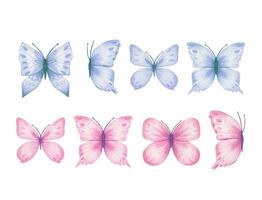 reeks met roze en blauw vlinders, waterverf illustratie. vector