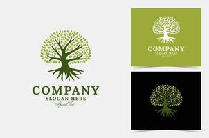 boom logo ontwerp vector, perfect voor bedrijf logo of branding. vector