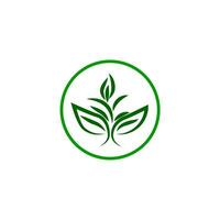een groen blad logo Aan een wit achtergrond vector