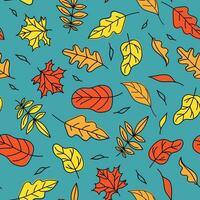 herfst bladeren. reeks patroon, achtergrond met bladeren. blad val. tekeningen in tekening stijl. kleur vector illustratie, naadloos achtergrond.