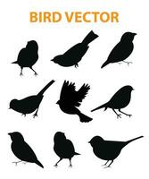 vliegend vogel silhouet vector