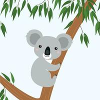 schattig vector tekenfilm karakter koala zittend Aan eucalyptus boom