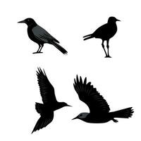 vector zwart illustratie van vogelstand verzameling Aan wit achtergrond