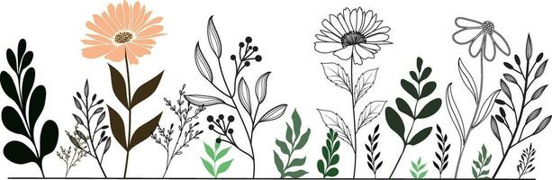 vector tekening wild bloemen ontwerp elementen illustratie voor uw tekst hier.