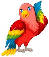 Mooie papegaai met kleurrijke vleugels vector