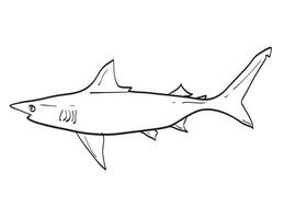 atlantic blacktip haai vis in nieuw Engeland en midden atlantic tekenfilm tekening vector