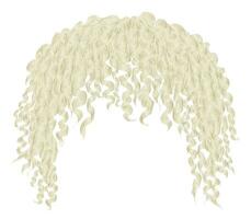 modieus gekruld verward Afrikaanse blond haar- . realistisch 3d . mode schoonheid stijl .uniseks Dames mannen.afro vector