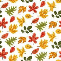 naadloos patroon met herfst bladeren van divers oranje, groente, rood en geel kleuren. perfect voor behang, geschenk papier, patroon vulling, web bladzijde achtergronden, herfst groet kaarten. knus structuur vector