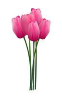 bloemen achtergrond met tulpen vectorillustratie vector