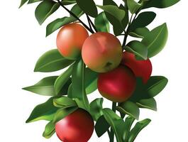 appel fruit boom rood groen kleur achtergrond vector. vector