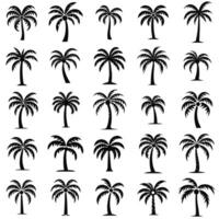 tropisch palm boom icoon reeks zwart schets vector