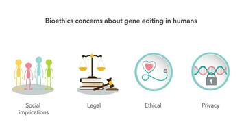 bio-ethiek van gen bewerken in mensen vector illustratie infographic