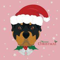 Kerstmis groet kaart. rottweiler hond met rood santa's hoed en Kerstmis klokken vector