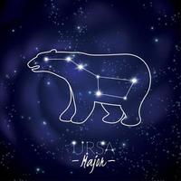 ursa major sterrenbeeld vectorillustratie vector