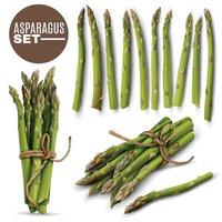 asperges realistische set vectorillustratie vector