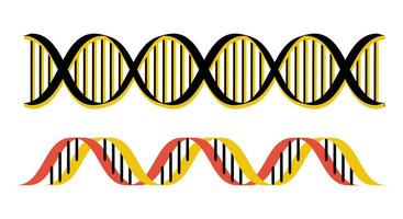 reeks van dna helix. vector illustratie geïsoleerd Aan wit achtergrond. twee dna strengen zijn getoond in verschillend kleuren