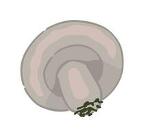 clip art van eetbaar paddestoel agaricus. tekening van herfst Woud oogst. tekenfilm vector illustratie geïsoleerd Aan wit achtergrond.