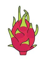 pitahaya vector illustratie, draak fruit