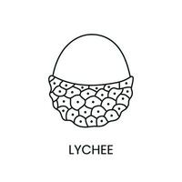 lychee lijn icoon in vector, fruit illustratie. vector