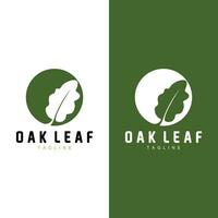 eik blad logo ontwerp, gemakkelijk groen fabriek vector, sjabloon illustratie vector