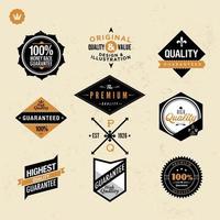 vintage badges ontwerp vector