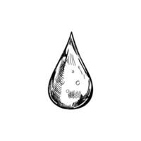 hand getekend zwart schetsen van laten vallen van water. eco concept. vector tekening illustratie.