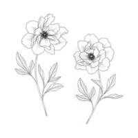 hand getekende pioen bloemen illustratie. vector