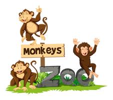 Drie apen in de dierentuin vector
