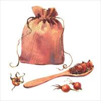 waterverf illustratie linnen zak en houten lepel met rozenbottel thee en brier bessen, waterverf illustratie geïsoleerd Aan wit achtergrond. agrarisch industrie. vector
