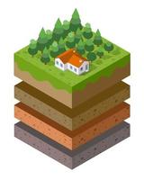 bodemlagen doorsnede geologisch groen gras vector