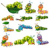 Verschillende kleuren caterpillar tekens vector